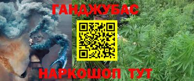 дмт Гатчина