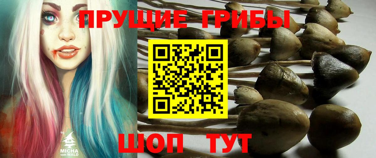Галлюциногенные грибы мухоморы Шелехов