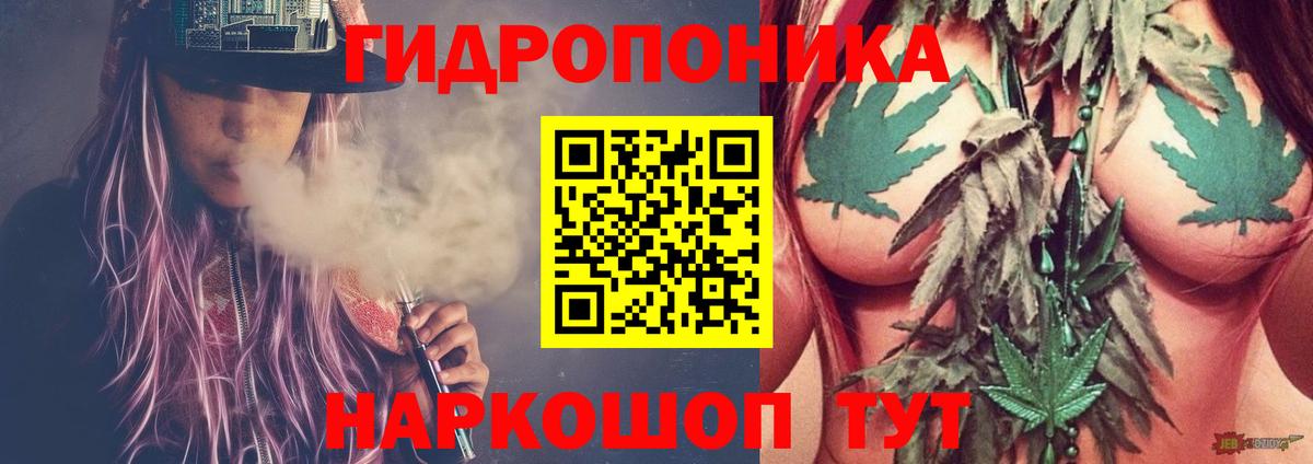 Каннабис индика Шелехов