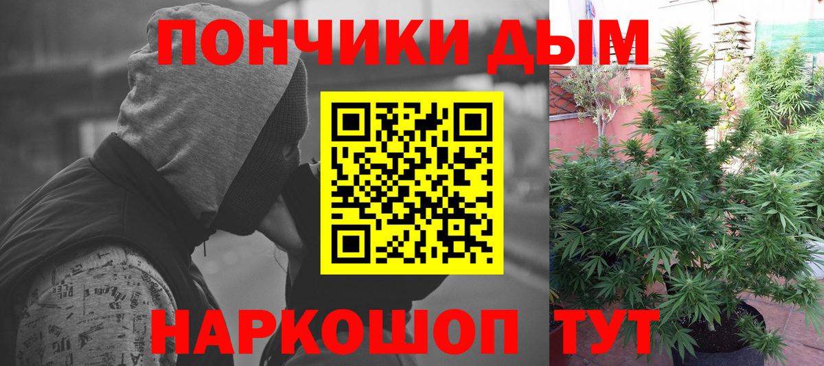 МАРИХУАНА Bruce Banner  Канабис сатива  МАРИХУАНА планчик  Бошки марихуана THC 21%  Вход с VPN  Шелехов 
